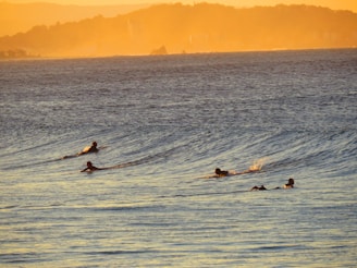 A group of paddlers in colorful Hawaiian canoes gliding across calm ocean waters at sunset.