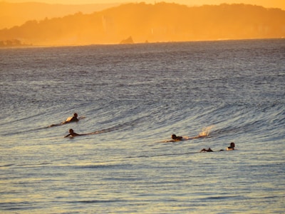 A group of happy students paddling out together on surfboards.