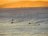 Group of surfers laughing and paddling out into warm ocean waves under a golden sky.