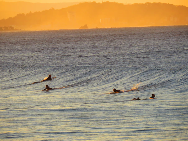 A group of friends laughing and paddling together on sup dude boards at sunset