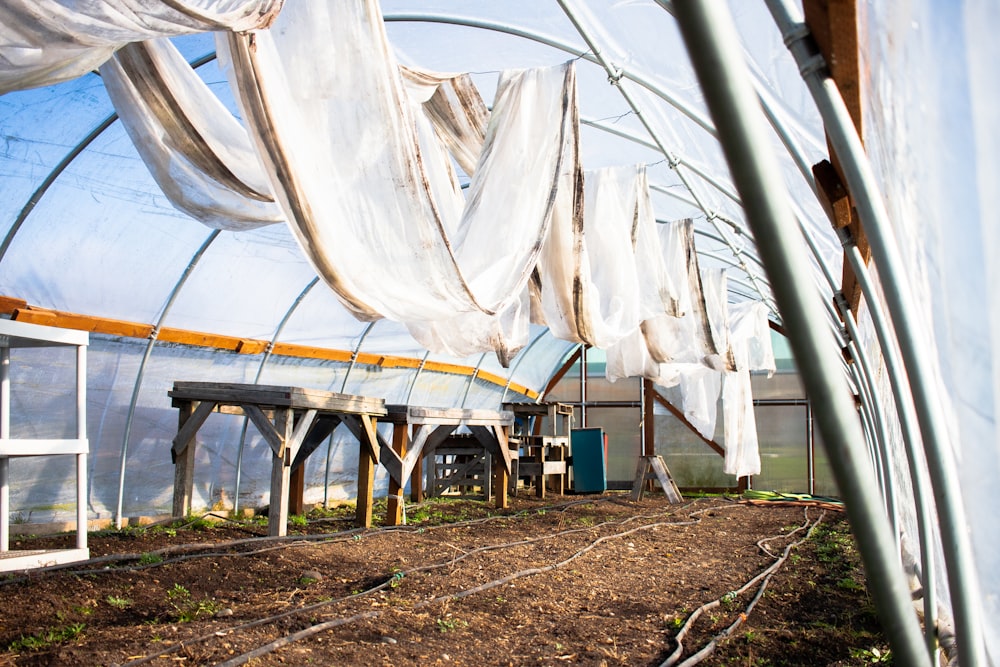 white canopy tent on green grass field during daytime