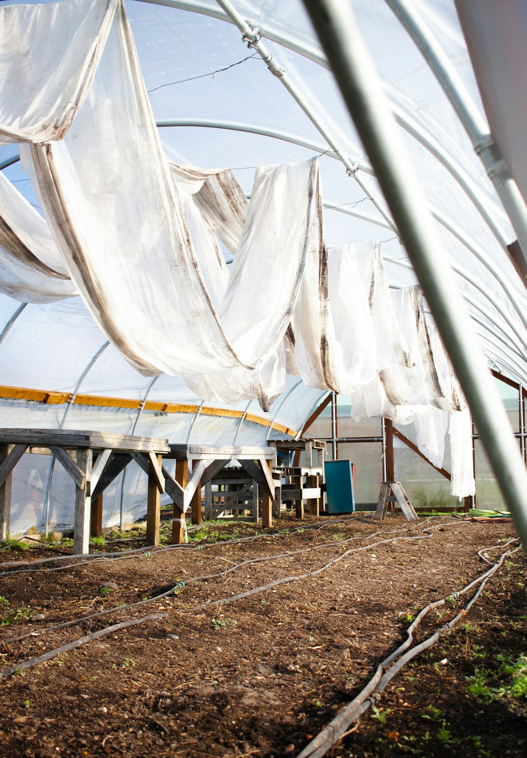 white canopy tent on green grass field during daytime