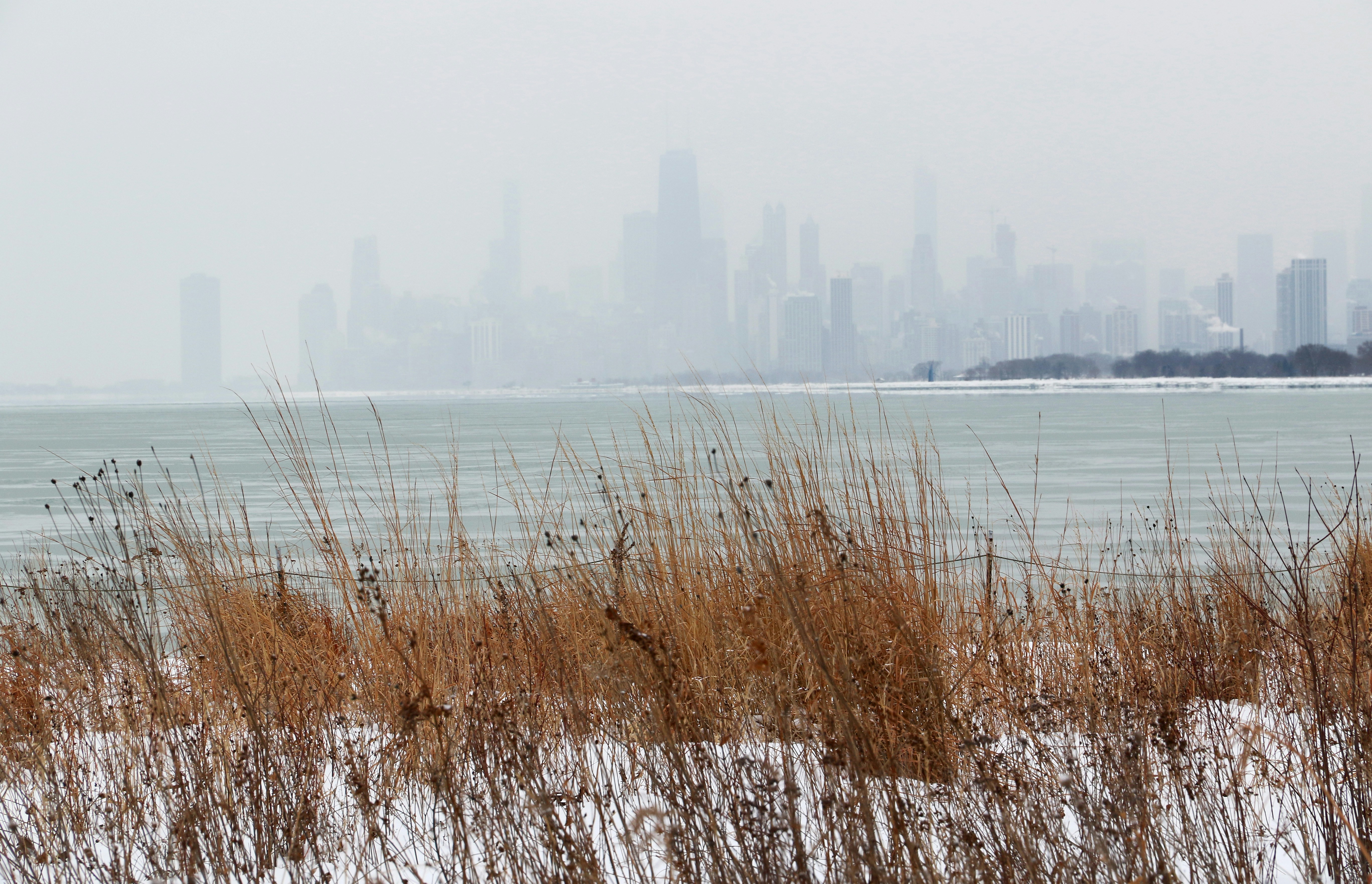 Montrose Harbor area, Chicago
