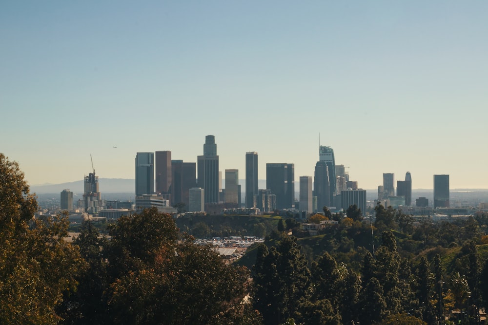 Horizon de la ville sous le ciel bleu pendant la journée