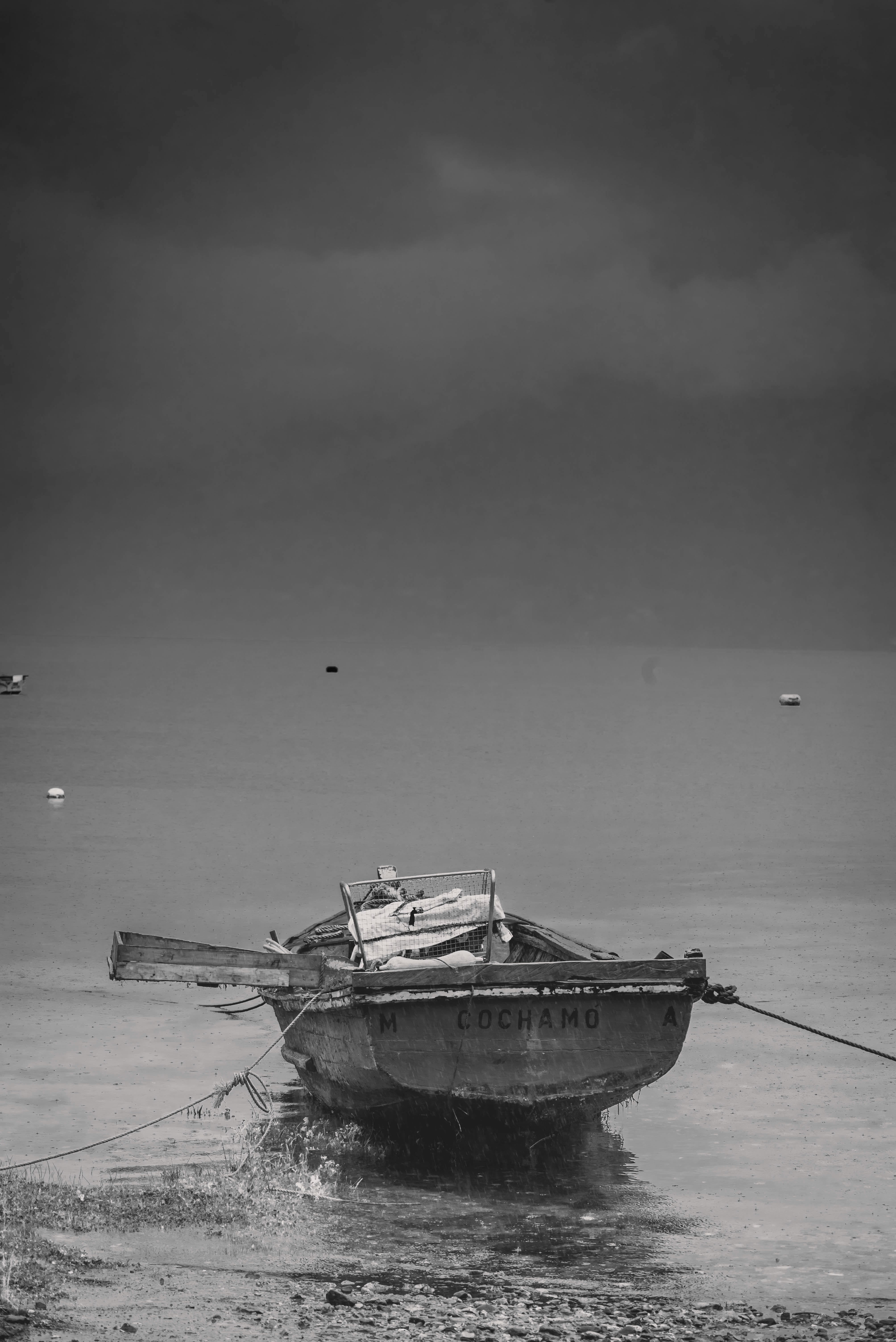 white and black boat on sea shore during daytime
