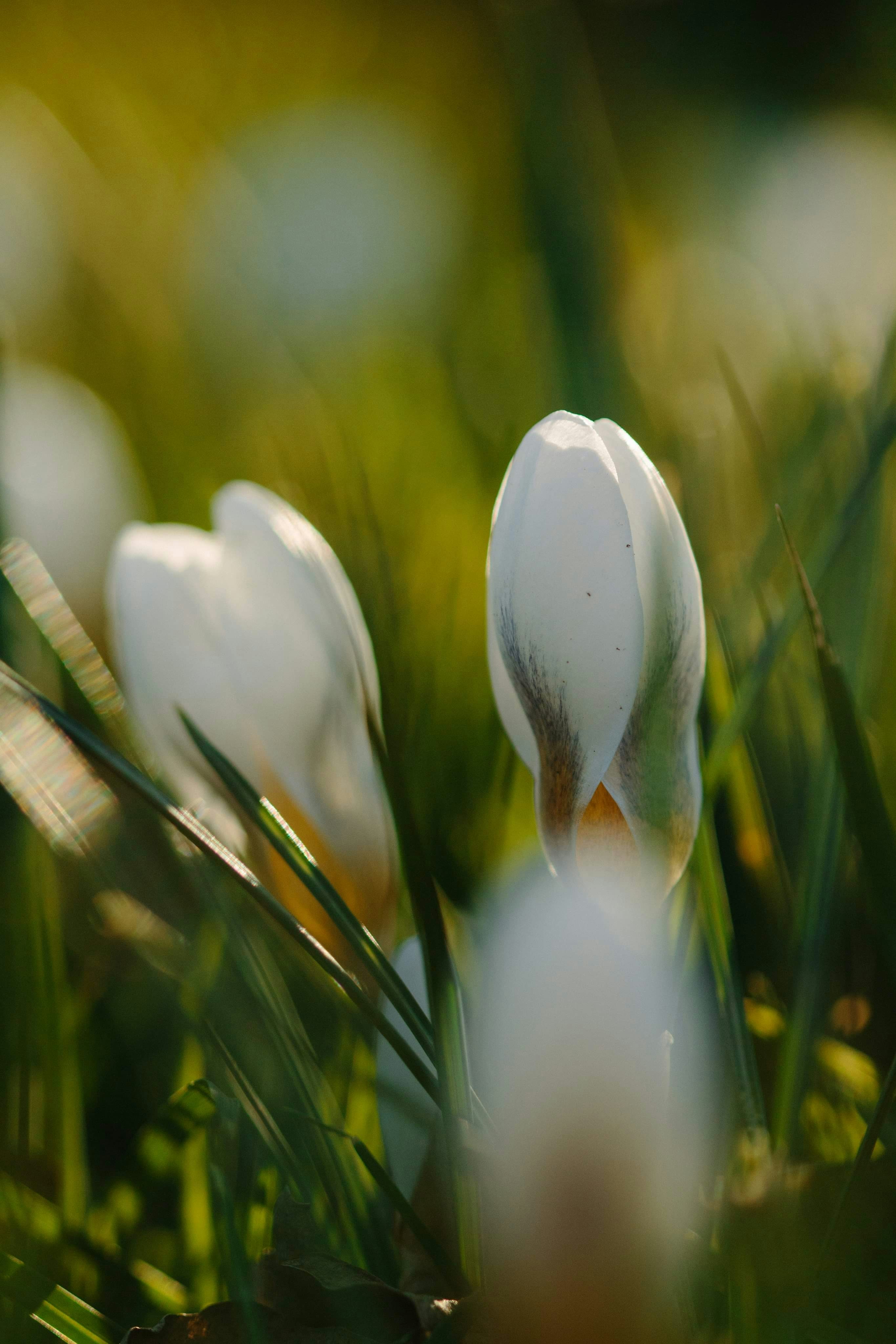 Photo by sarahhongerloot