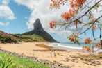 people on beach near rocky mountain under blue and white sunny cloudy sky during daytime