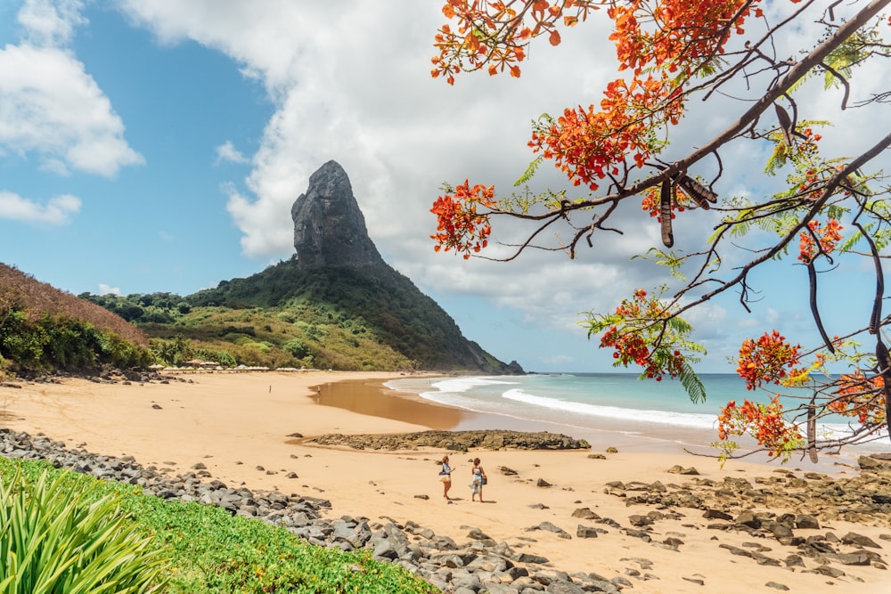 people on beach near rocky mountain under blue and white sunny cloudy sky during daytime