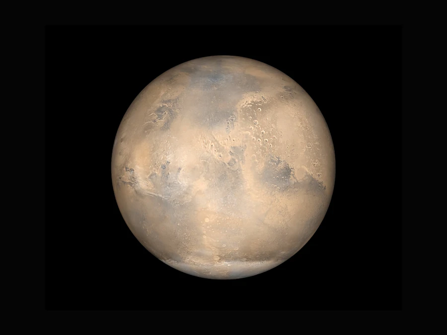 Mezcal tasting with small producers