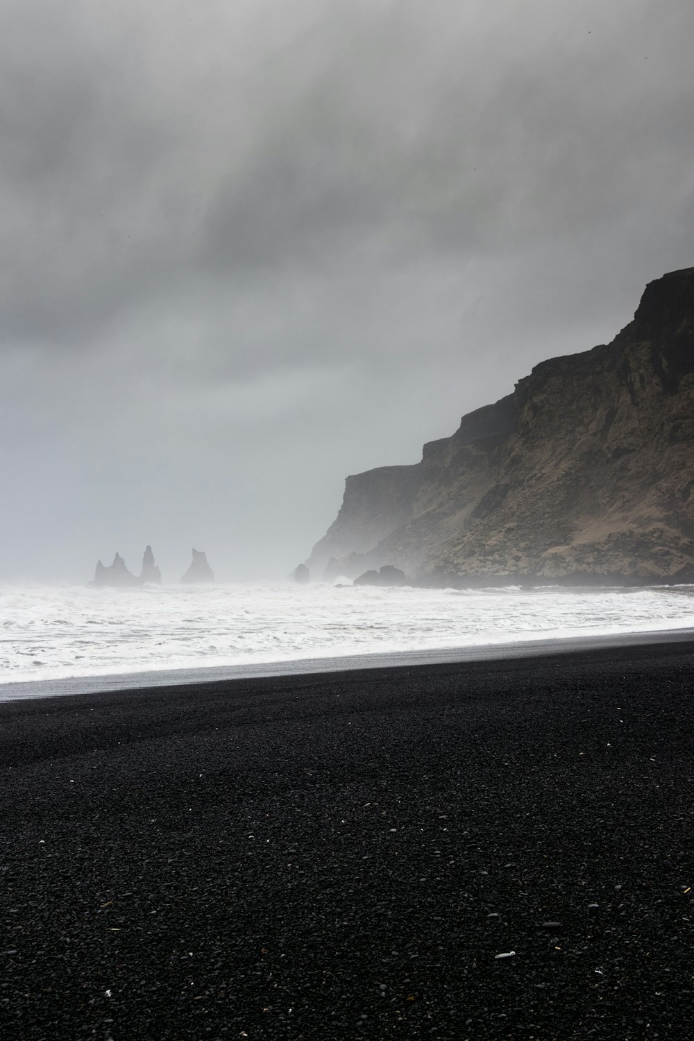 people on beach during daytime