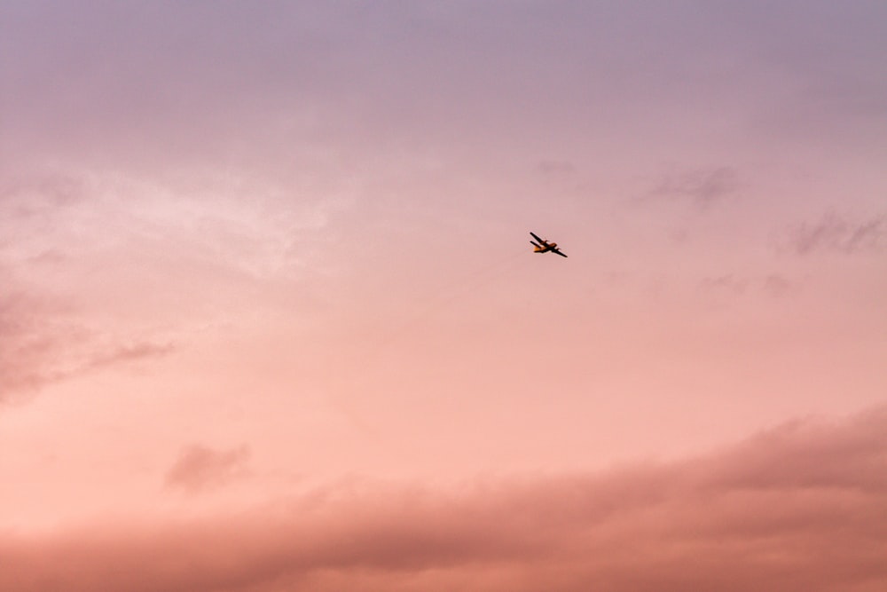 bird flying under cloudy sky during daytime