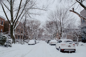snow covered cars parked on snow covered road during daytime