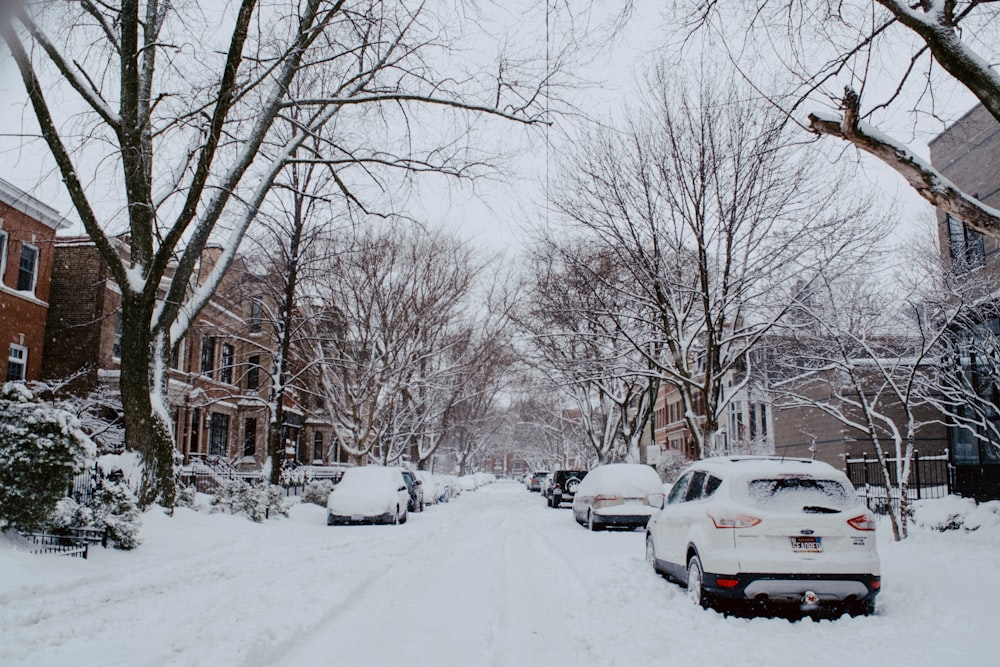 snow covered cars parked on snow covered road during daytime