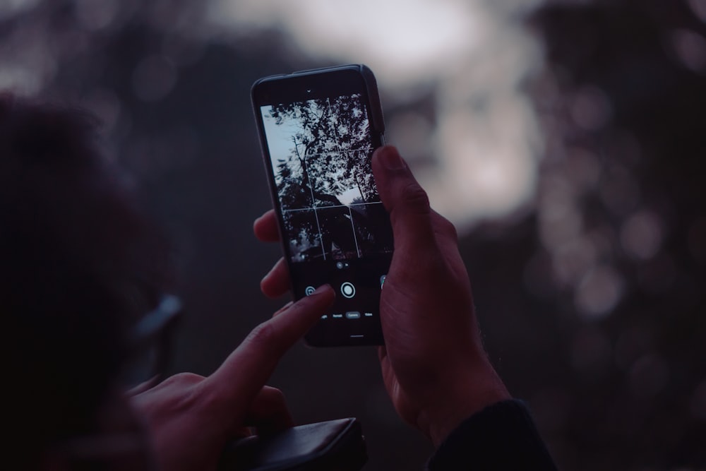 person holding black iphone 4 taking photo of trees during daytime