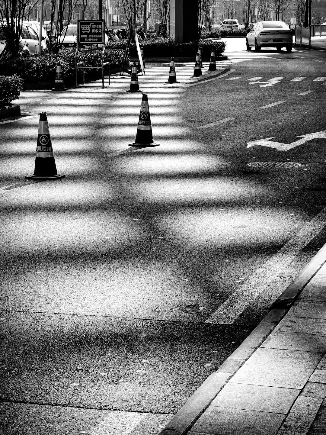 gray and white pedestrian lane