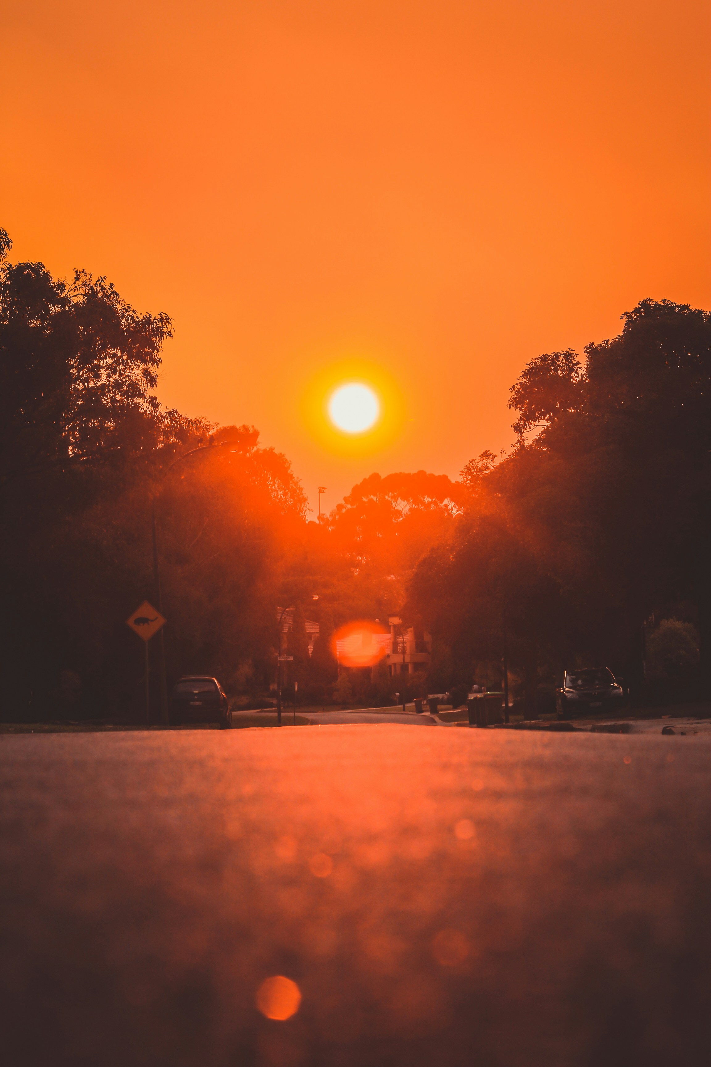 Photo by jjensen_photogrpahy