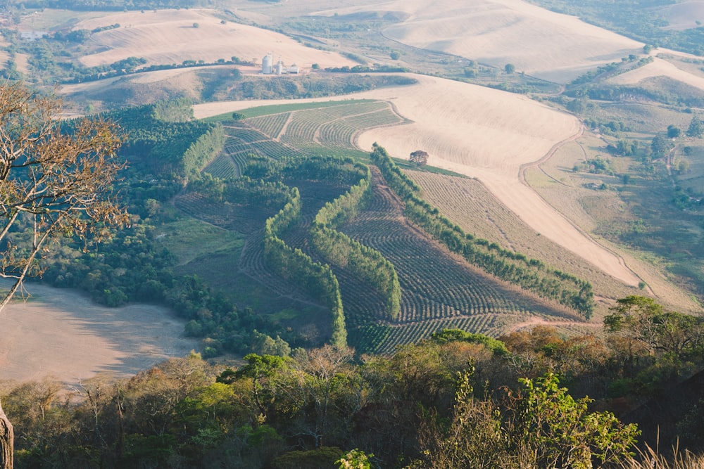 Vista aérea de árboles verdes y río durante el día