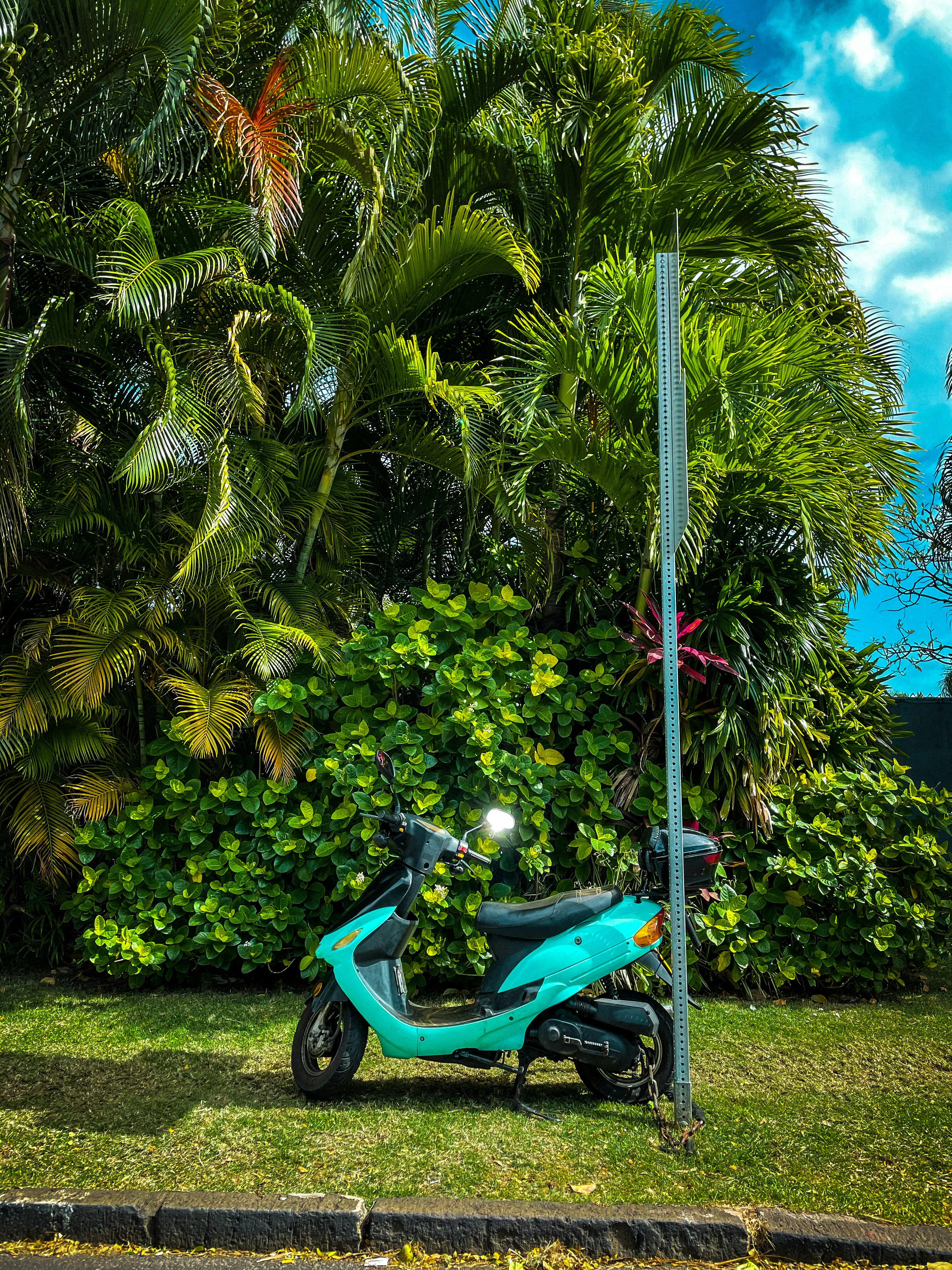 150 CC ENGINE CAPACITY