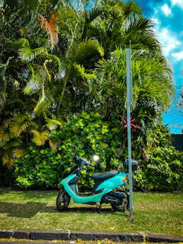 A vibrant photo of a blue scooter parked on a sunny Bali beach road with palm trees in the background.