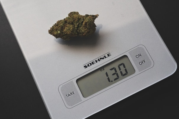 A digital kitchen scale displaying the weight 1.30 ounces with a piece of green plant material on it. The scale is gray with buttons labeled 'TARE', 'ON', and 'OFF'.