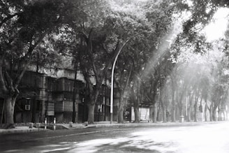 A serene black and white photograph capturing a quiet city street at dawn.