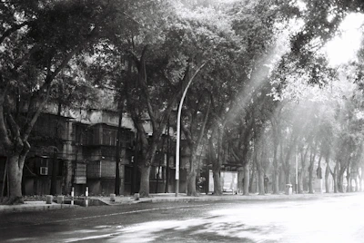A moody black and white photo of a quiet city street at dawn, shadows stretching long.