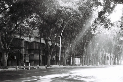 A striking black and white photograph capturing a quiet city street at dawn.