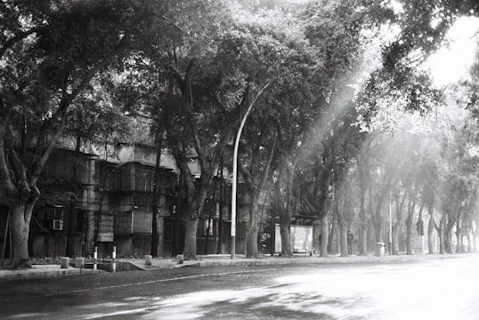 A vintage black-and-white photograph showing a quiet street scene with deep shadows and soft light.