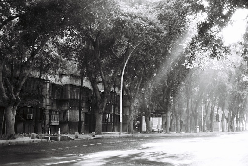 Black and white photograph capturing a quiet urban street at dusk with deep shadows and soft light.