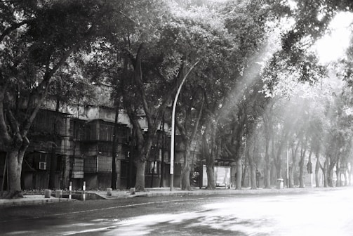 A black-and-white photograph of a quiet street at dawn, with soft light casting long shadows.