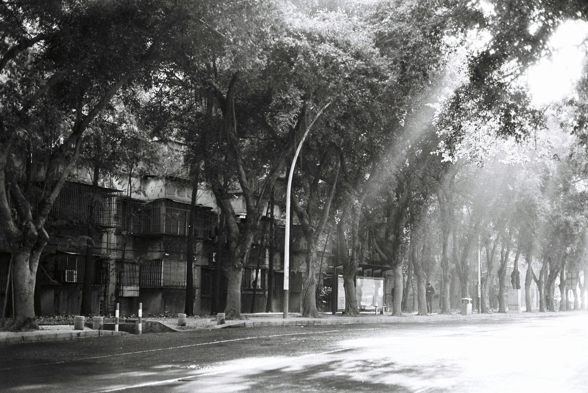 black and white bed linen