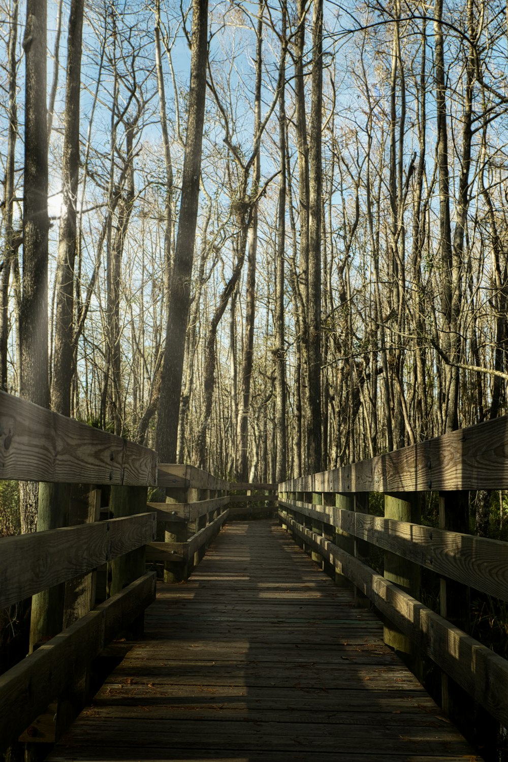 brown wooden bridge in the woods