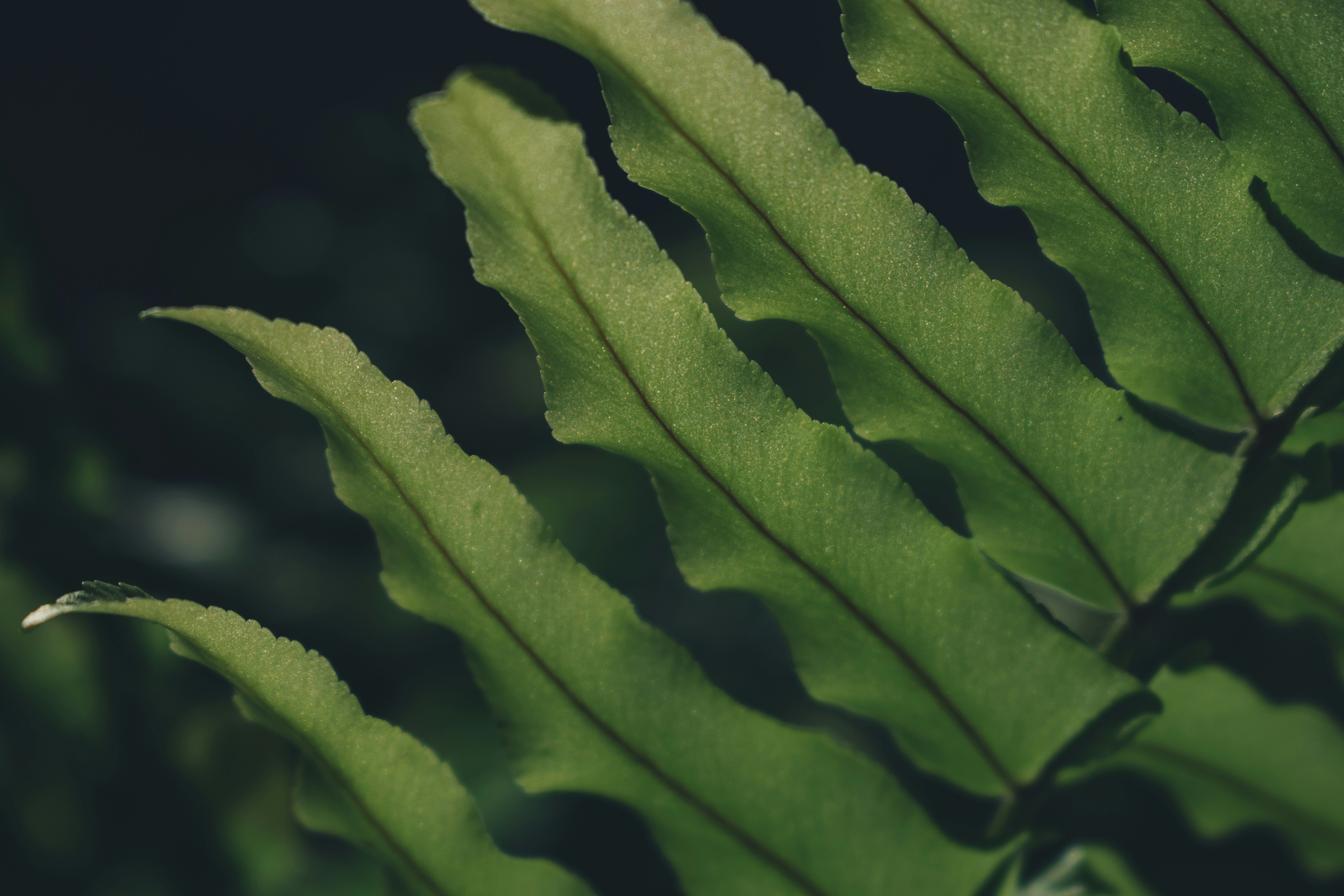 Photo by ivandwisamudra