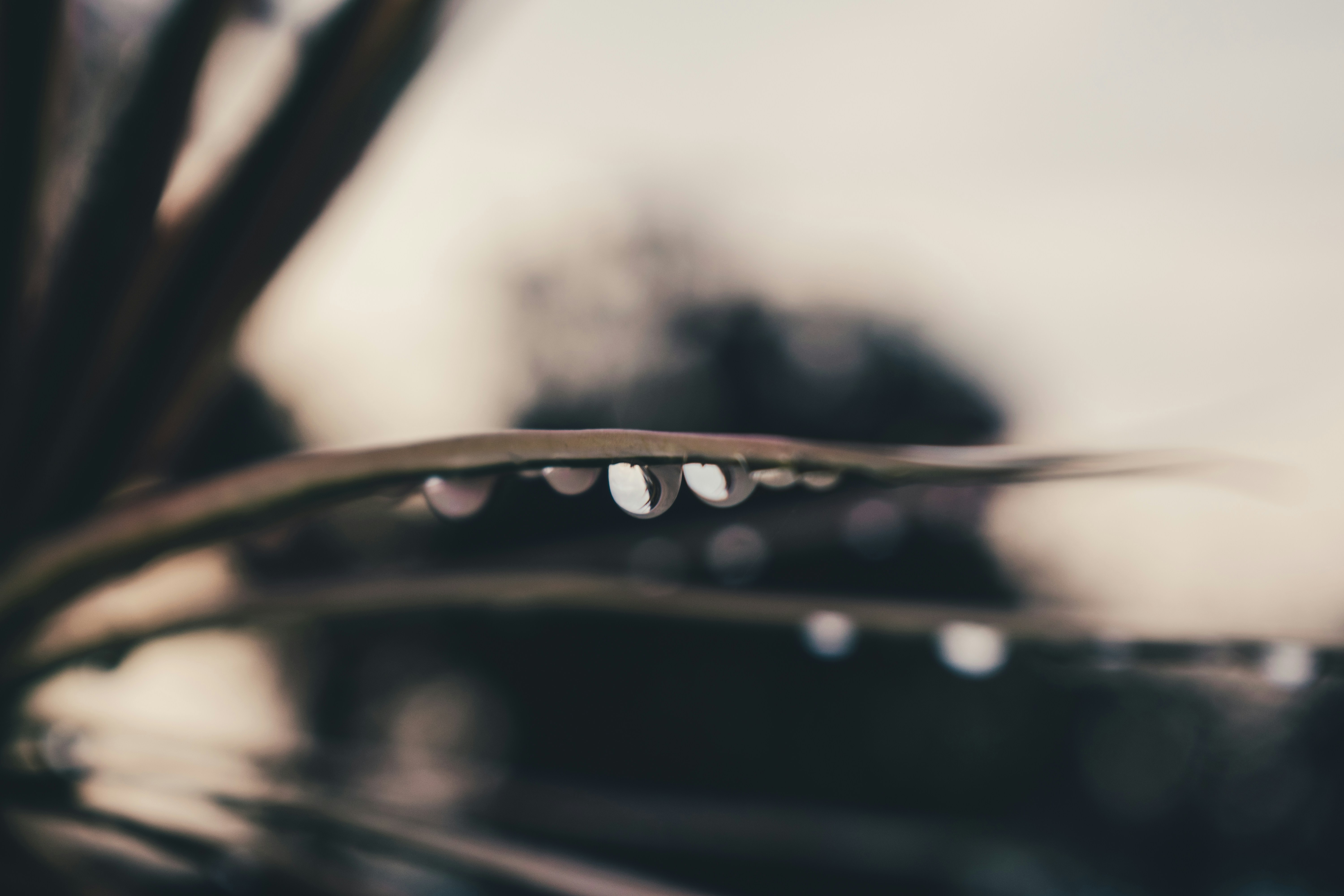 gotas de agua sobre superficie negra