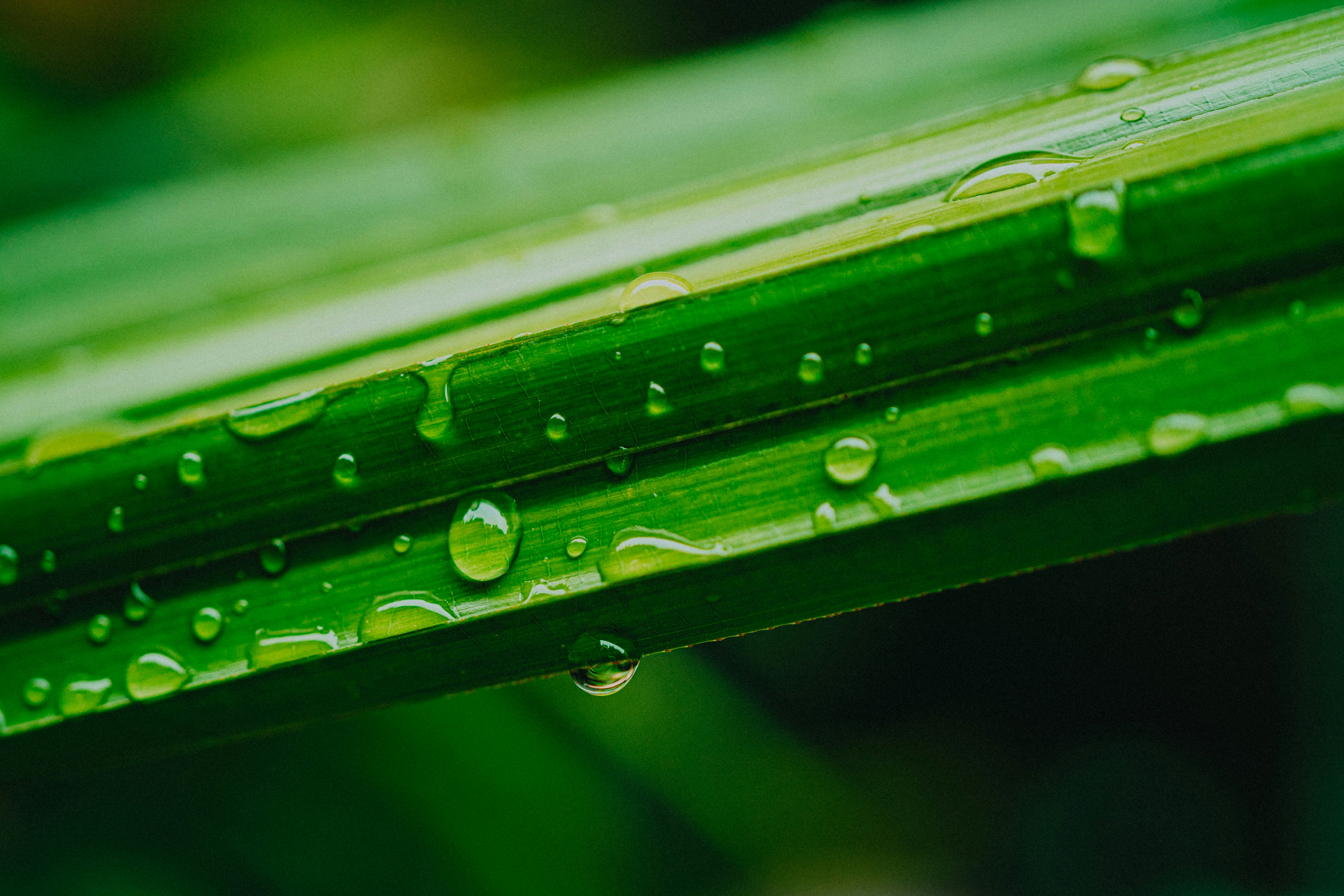 Photo by jaywennington