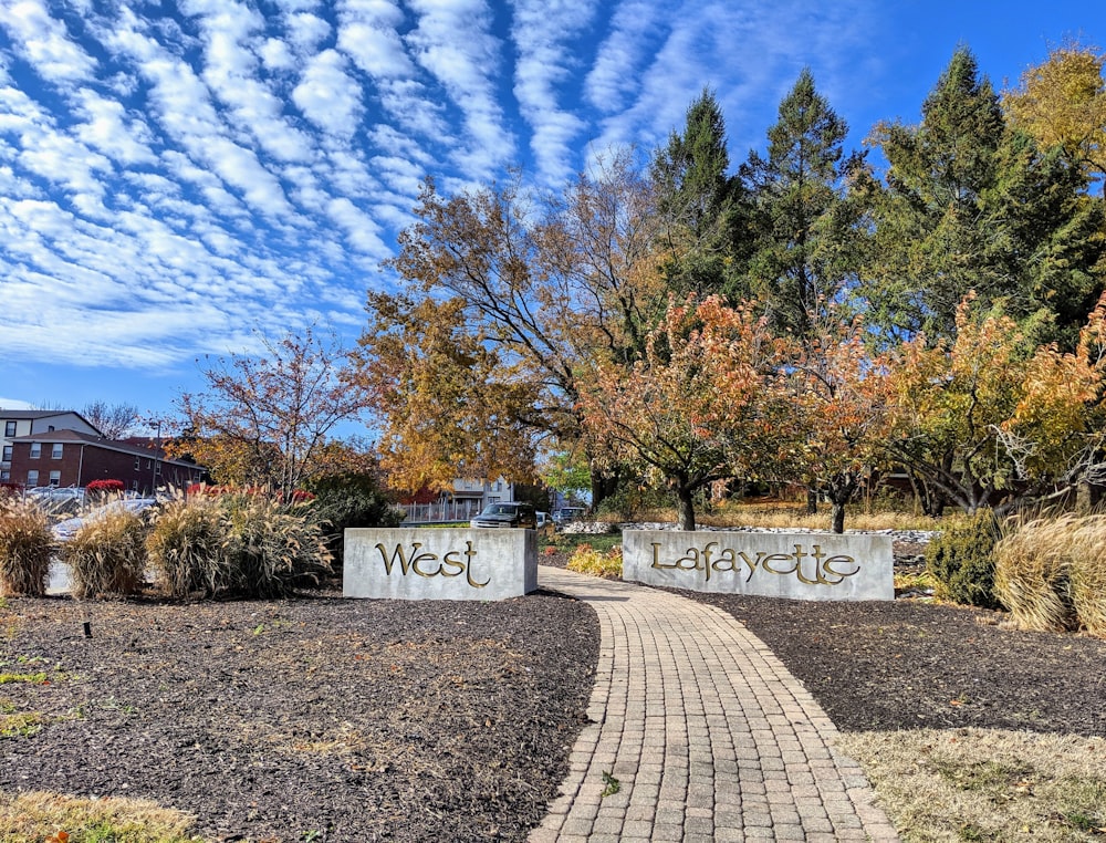 gray concrete road between trees under blue sky during daytime