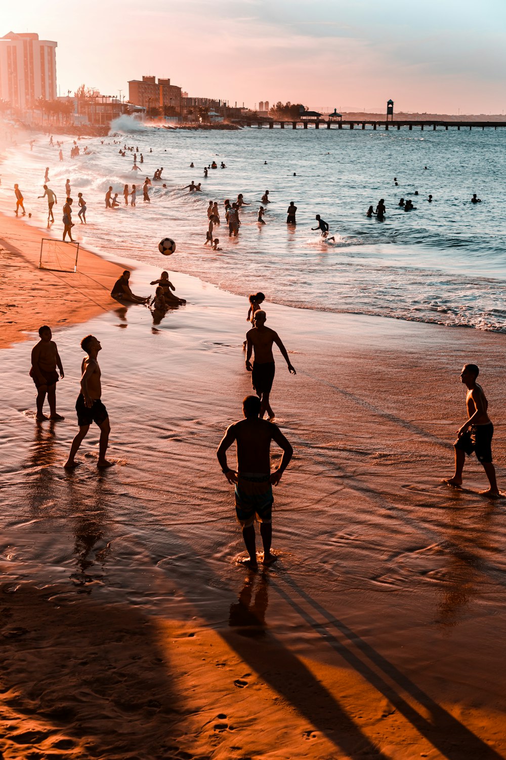 people on beach during daytime