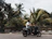 Solo rider enjoying a scenic view on a single-seater scooter near palm trees.