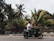 Solo rider enjoying a scenic view on a single-seater scooter near palm trees.