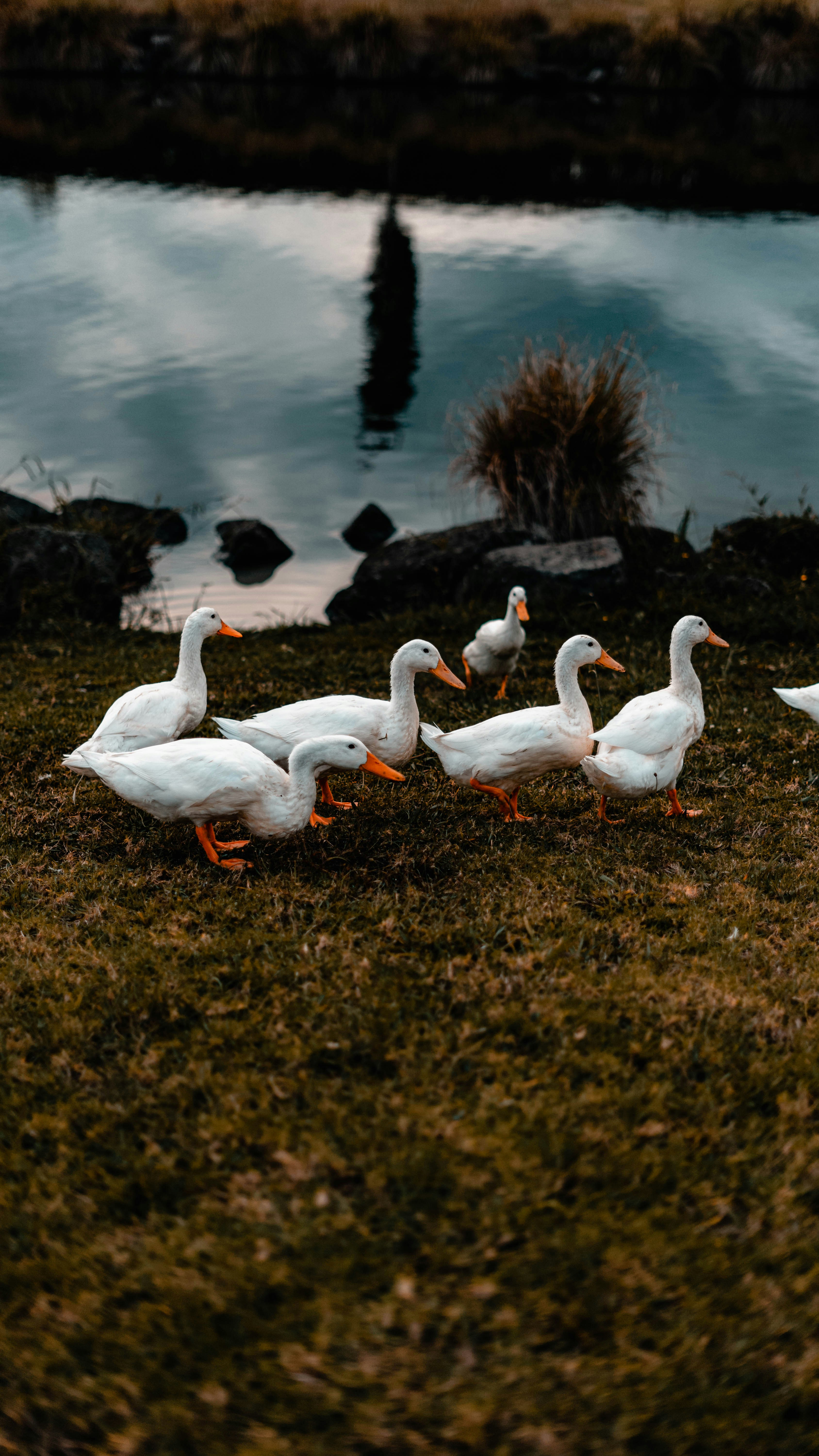 Photo by annie_dogger