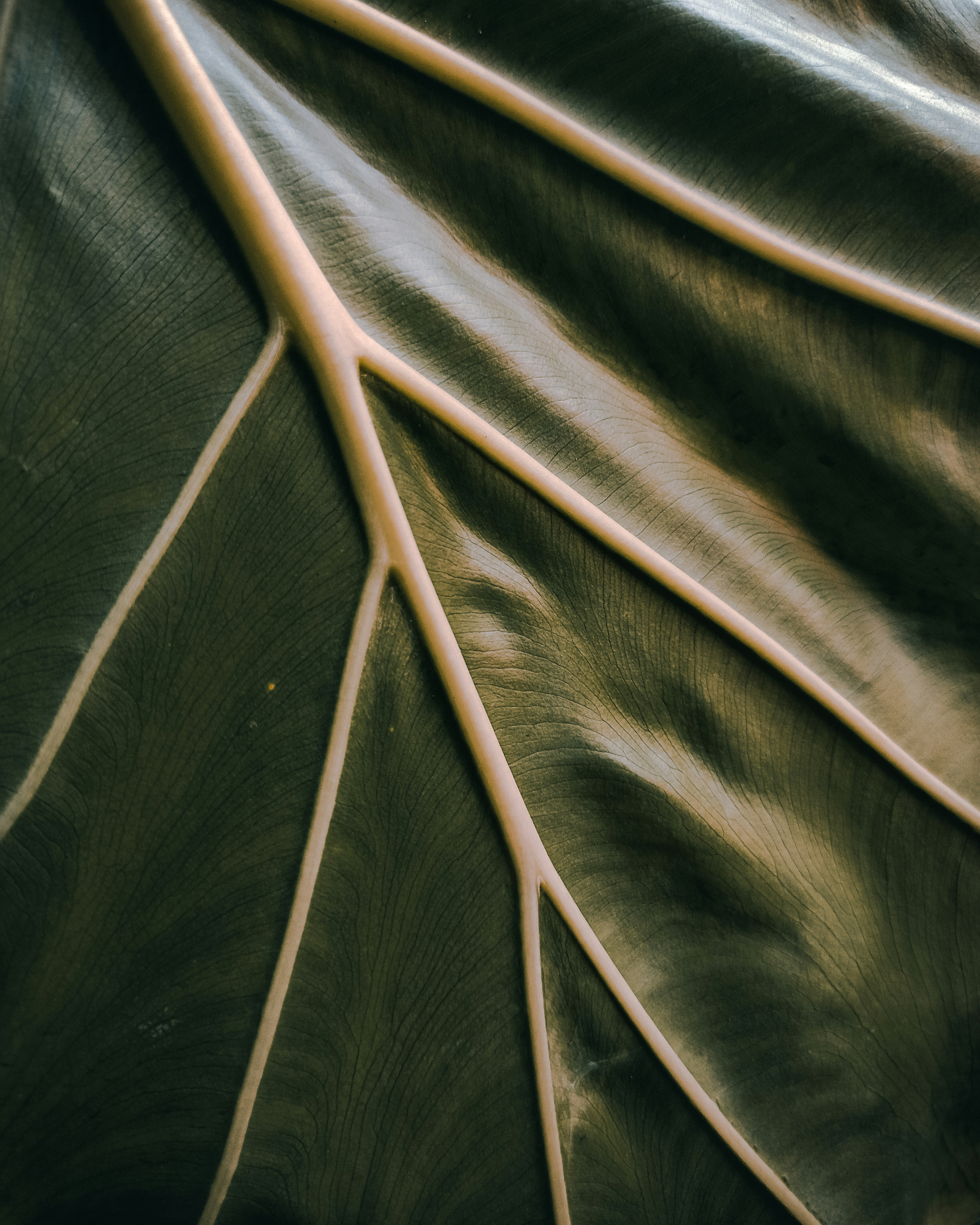 Photo by sneakyhead