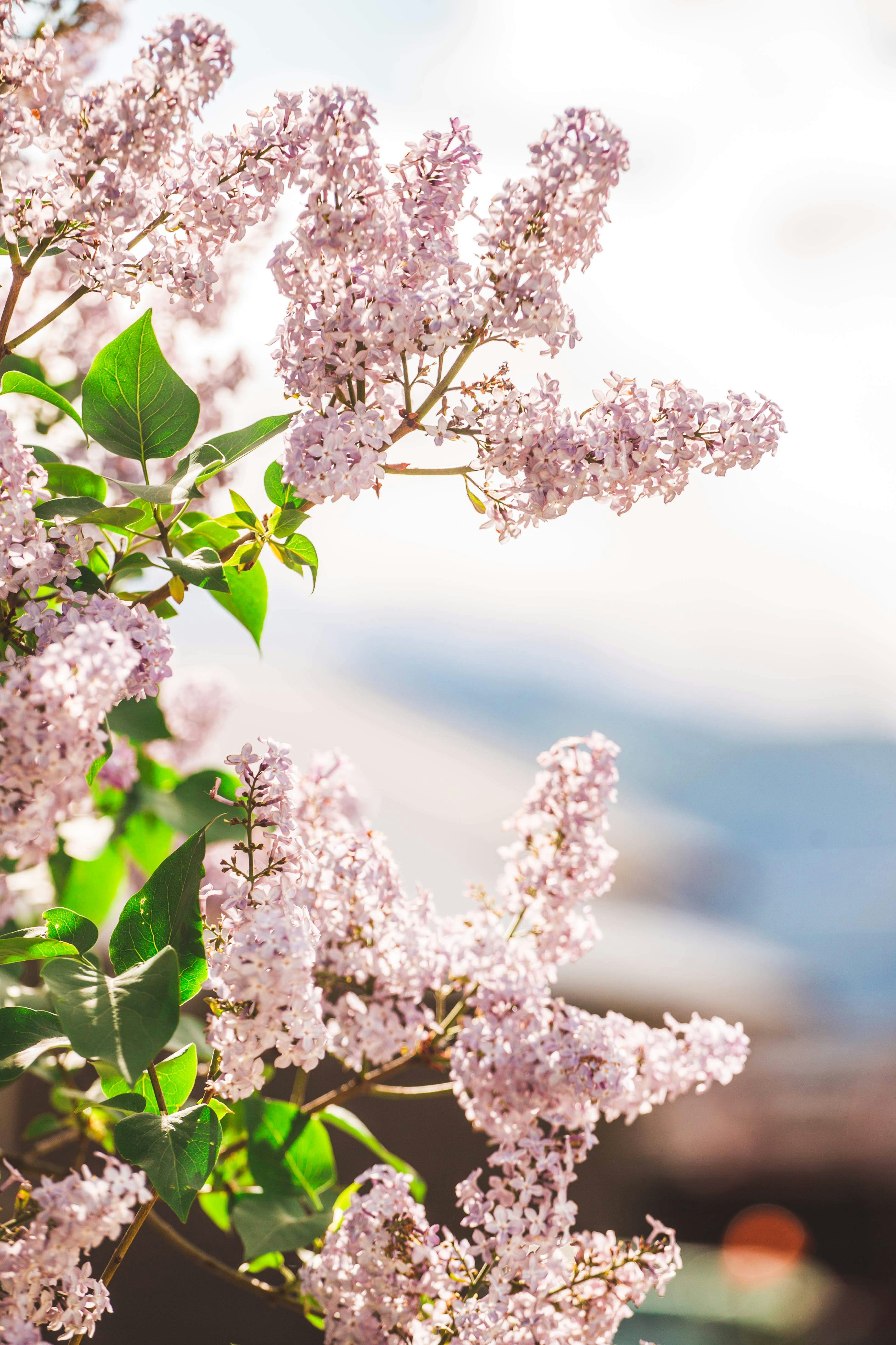 Photo by arseneovrejorde