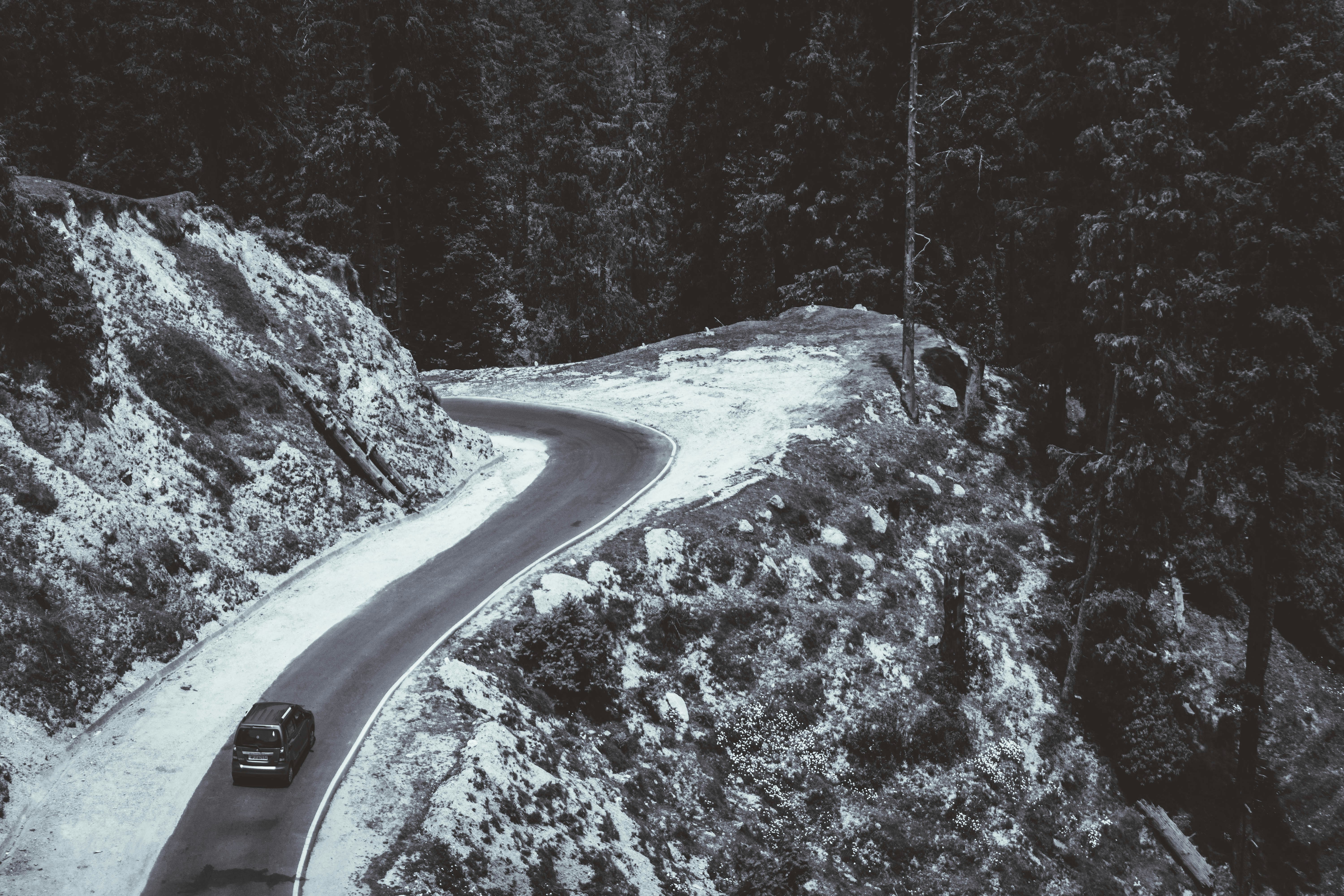 When Life Takes an Unexpected Turn