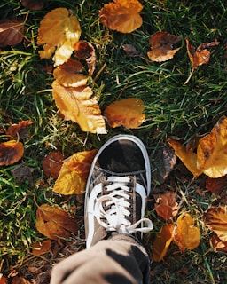 A runner's feet hitting a forest trail covered with green leaves.