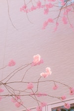 A welcoming office space with warm lighting and a pink cherry blossom artwork on the wall.