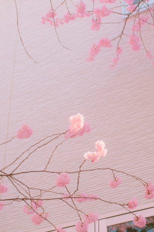 A welcoming office space with warm lighting and a pink cherry blossom artwork on the wall.