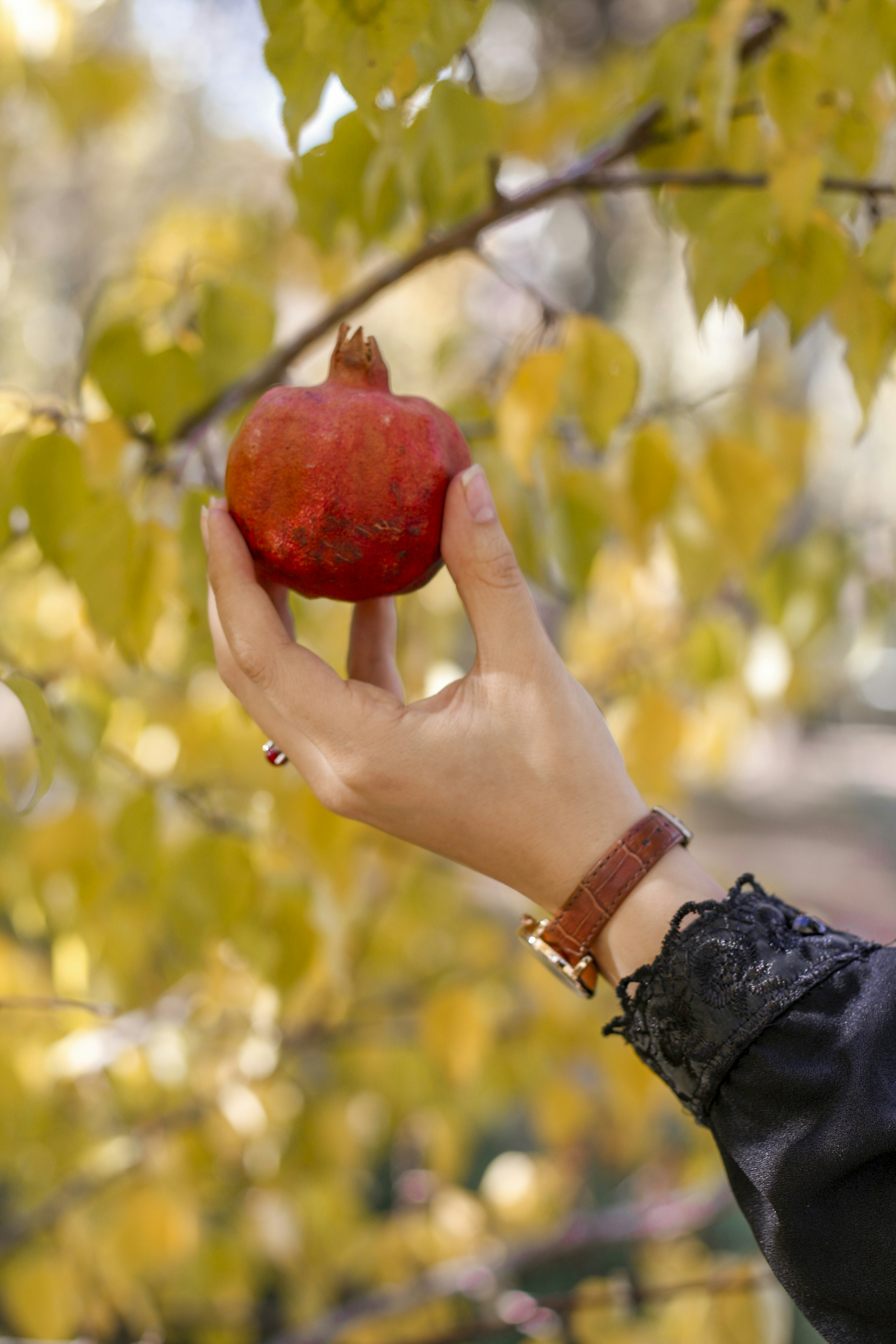 Photo by fatememohebbi