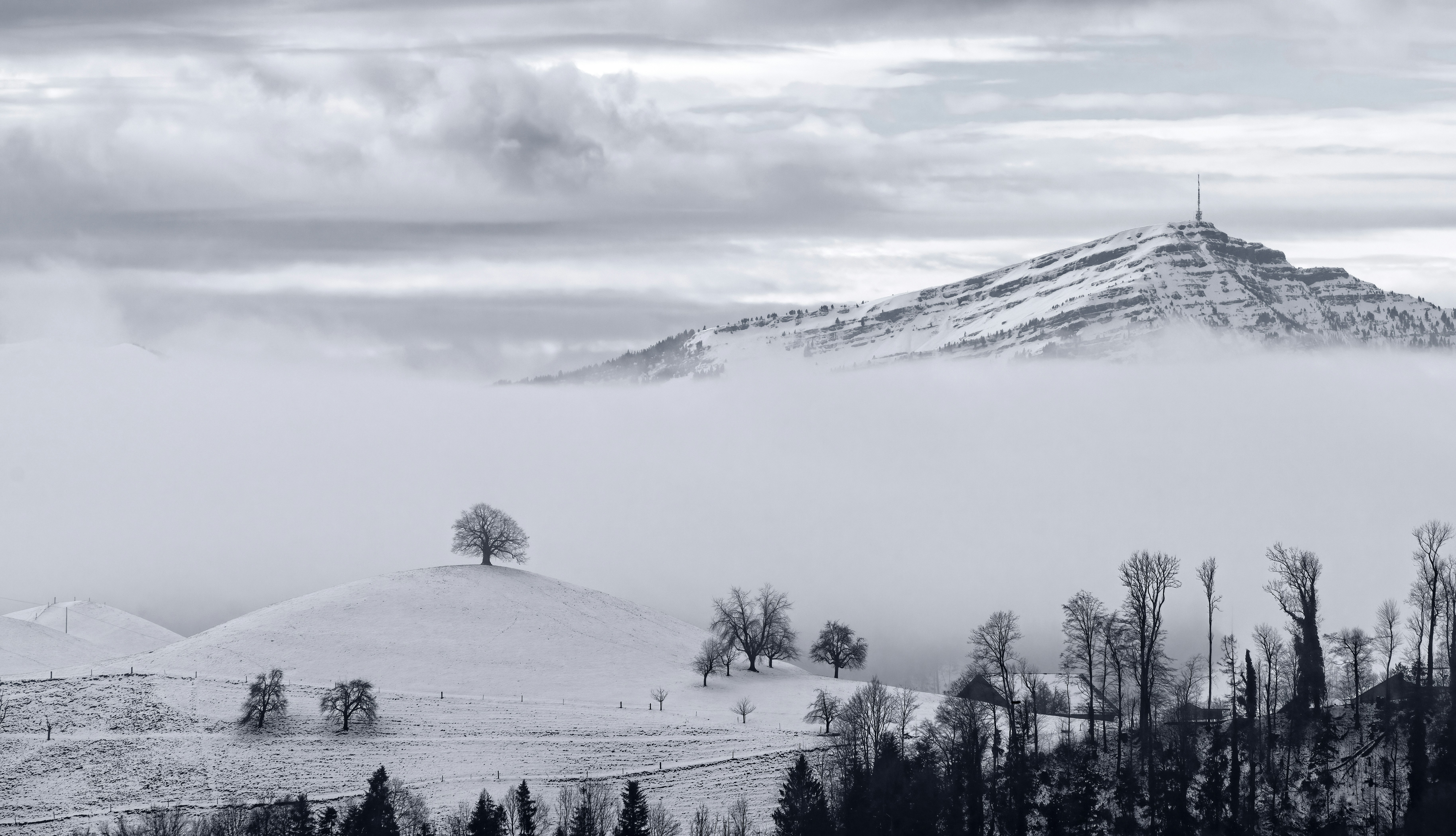 Photo by rgaleriacom