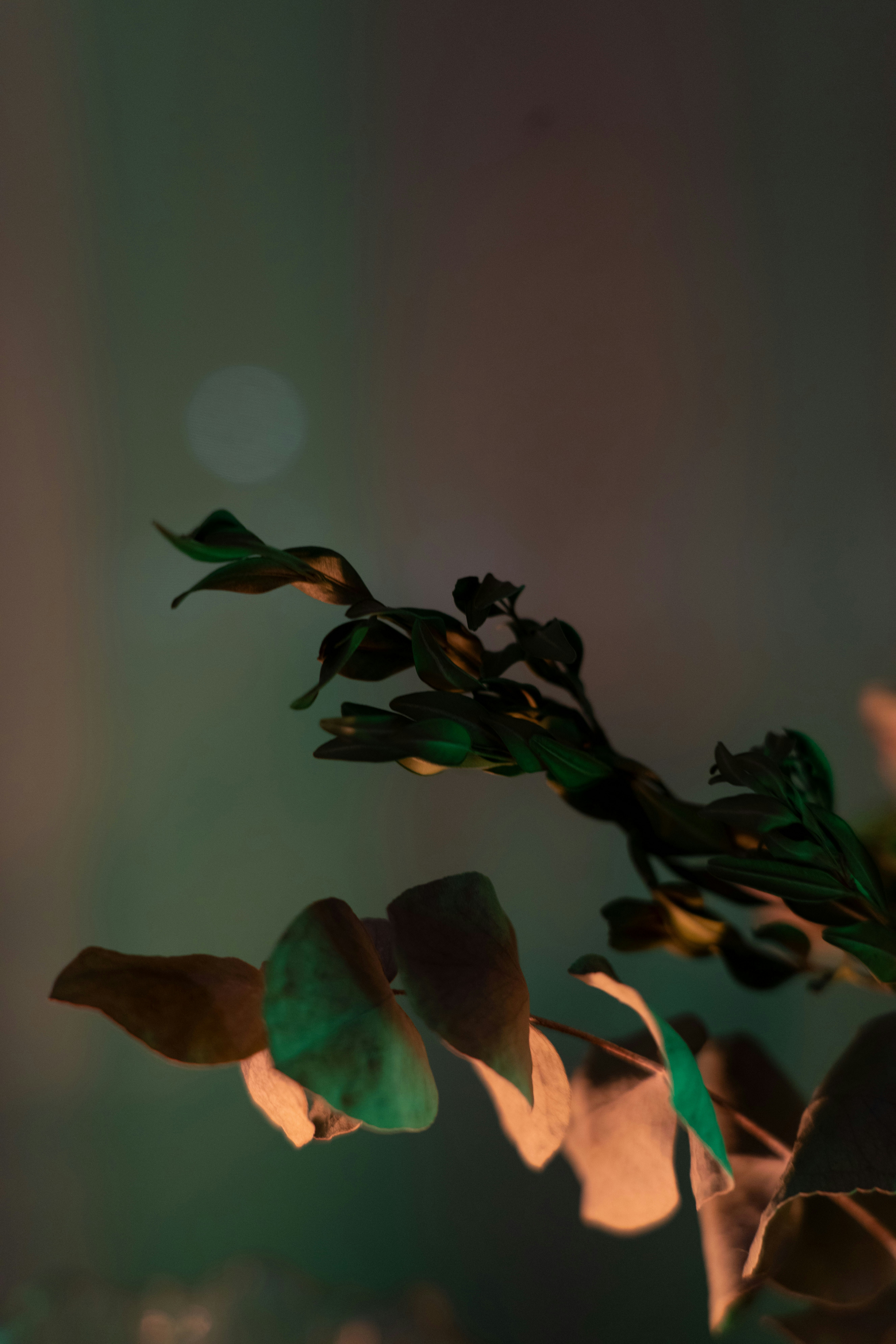 Photo by andrewwwpetrov