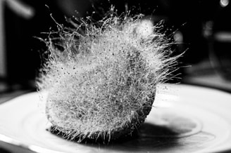 A close-up shot of a piece of fruit covered with intricate, fuzzy mold growth. The mold appears as a network of fine, hair-like filaments with tiny black spores, giving it a delicate yet dense appearance. The background is slightly blurred, emphasizing the detailed texture of the mold.